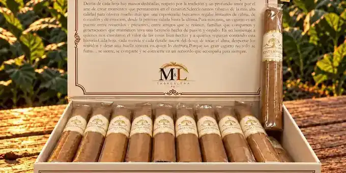 Monte & Mística Connecticut