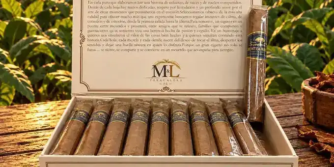 Monte & Mística Corojo