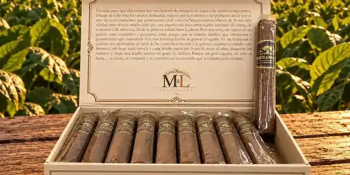 Monte & Mística Maduro